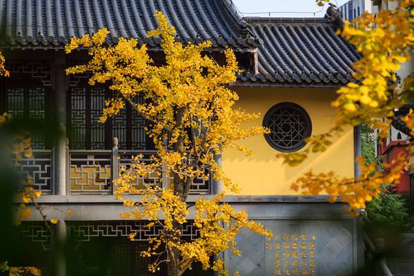 大运八字合婚表 大运配合八字？-第3张图片-诸葛神算网